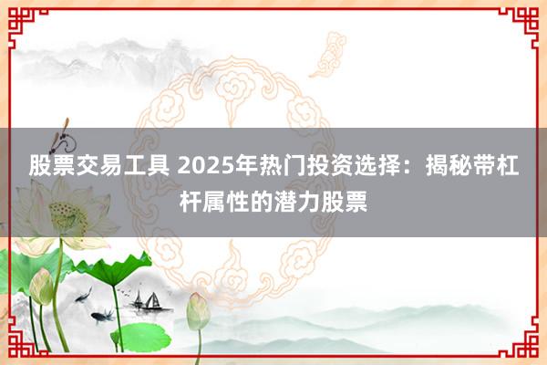 股票交易工具 2025年热门投资选择：揭秘带杠杆属性的潜力股票