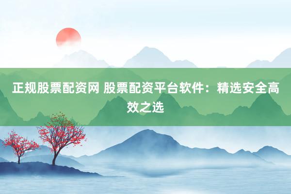 正规股票配资网 股票配资平台软件：精选安全高效之选