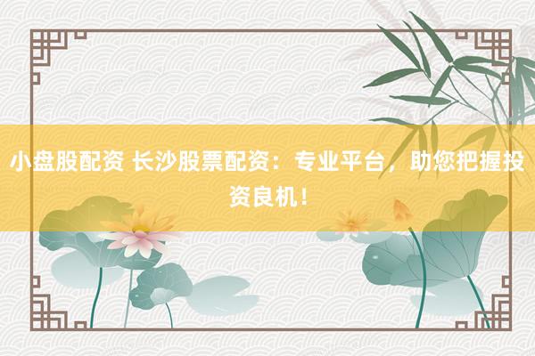 小盘股配资 长沙股票配资：专业平台，助您把握投资良机！