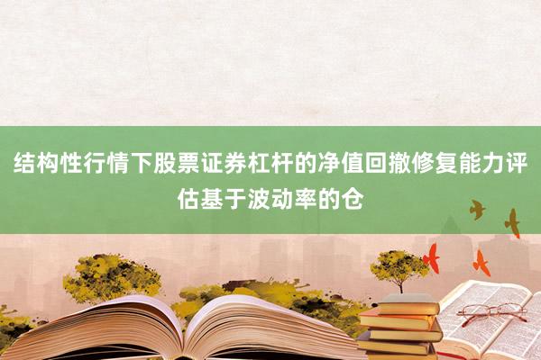 结构性行情下股票证券杠杆的净值回撤修复能力评估基于波动率的仓