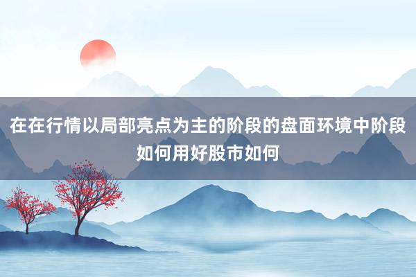 在在行情以局部亮点为主的阶段的盘面环境中阶段如何用好股市如何