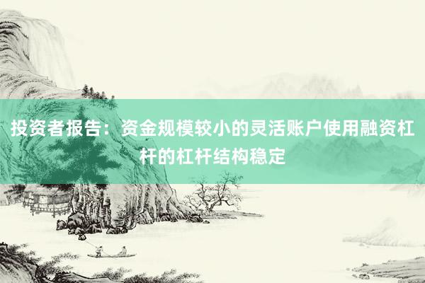 投资者报告：资金规模较小的灵活账户使用融资杠杆的杠杆结构稳定