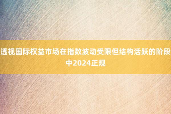 透视国际权益市场在指数波动受限但结构活跃的阶段中2024正规
