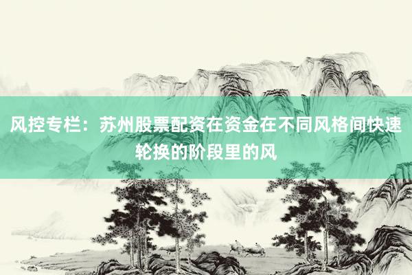 风控专栏：苏州股票配资在资金在不同风格间快速轮换的阶段里的风